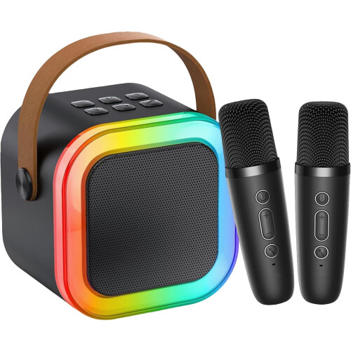 Mini karaoke machine portable Bluetooth speaker with 2