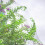 Bird Net Black Portable Durable Fruit Garden Barrier 15m x 2