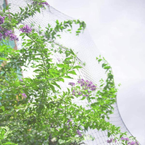Bird Net Black Portable Durable Fruit Garden Barrier 15m x 1