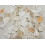Clear Quartz Crystals Rough Bulk for Tumbling and Crafting 4