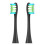 Oclean Black electric toothbrush replacement heads 10 pack 1