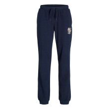 (4 Years, Sky Captain) Jack And Jones Boys Cotton Blend Relaxed Fit Joggers