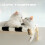 Cat Window Hammock Hanging Bed Black 6
