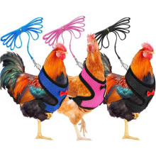 Chicken harness M size 3-pack adjustable breathable