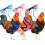 Chicken harness M size 3-pack adjustable breathable 1