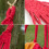 SunyaMood camping hammock 2-person 264 lbs 3