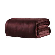 Flannel Blanket Soft Warm Winter Bedding 1 Pack