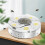 Electric Fly Trap Indoor White 1 Pack 1