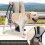Sangle d'assistance pour chiens de grande taille, rembourrée et réglable. 4