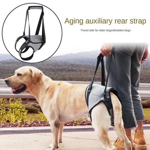 Sangle d'assistance pour chiens de grande taille, rembourrée et réglable. 1