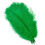 Plumes d'autruche vert naturel 25-30 cm, 10 pièces 1