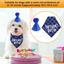 Verjaardagsfeestartikelen voor Honden, Verjaardagshoed voor Huisdieren en Bandana-Set voor Hondenverjaardag