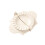 Dumpling and Pierogi Mold Beige 1