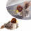 Interactive Cat Toy Bird Sound for Indoor Cats 1
