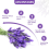 Lavender sachets for drawers and closets 8 pack 5