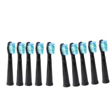 Sonic Replacement Brush Heads for Seago Electric Toothbrush