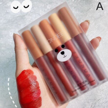 Matte Velvet Lip Gloss Waterproof Non-Smudge 5 pcs