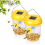 Wasp Trap Green Reusable Hanging 2-Pack 1