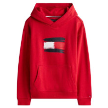 (14 Years, Red X) Tommy Hilfiger Childrens/Kids Flag Logo Drawstring Hoodie