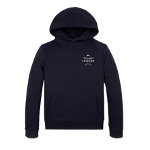 (8 Years, Desert Sky) Tommy Hilfiger Childrens/Kids Hoodie