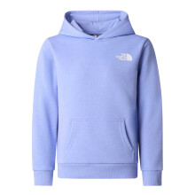 (M, Periwinkle Blue) The North Face Childrens/Kids Dome Logo Cotton Blend Hoodie