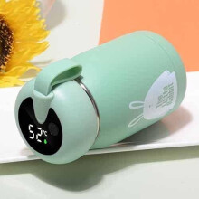 Water Bottle 304 Stainless Steel 320ml Green