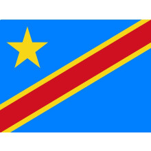 Congo-Kinshasa flag rectangular 1 piece