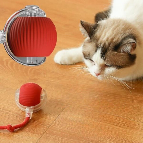 Cat ball with rope bite-resistant automatic hopple red 2