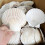 Natural scallop shells white 12cm 10 pcs 1