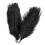 Ostrich feathers centerpiece black 10 pcs 30-35 cm 5
