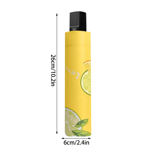 Sombrilla portátil ligera parasol (no automática) 2