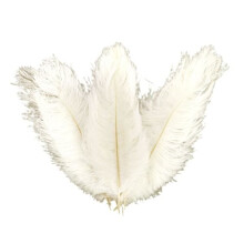Ostrich Feathers Centerpiece White 30-35cm 10 pcs