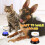 Recordable Talking Button for Kids Green 1 pc 3