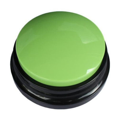 Recordable Talking Button for Kids Green 1 pc