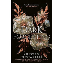 DARK FORGETTING HB by Kristen Ciccarelli Hardcover Book