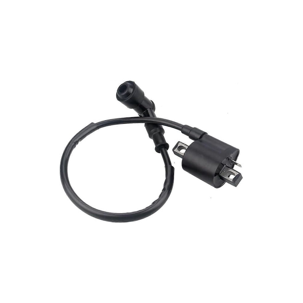 Ignition Coil For Atv Quad Dirt Bike Scooter Buggy 962125314281