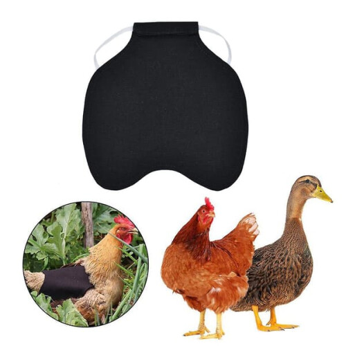 Chicken saddle apron wing protector 1 pcs