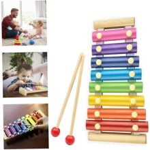 Wooden and Metal Xylophone Instrument