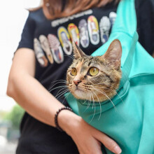 Dog and Cat Carrier Sling for Pets Under 18 lb