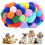 Dog toy ball multicolor 1 pack 1