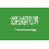 Saudi Arabia flag white background 1