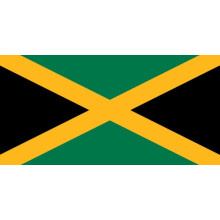 Jamaica flag white background 1 piece