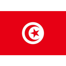 Tunisia flag national flag 1 piece