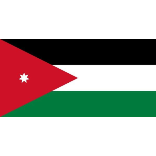 Jordan Flag White Sneakers
