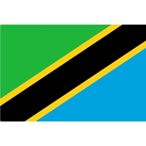 Tanzanian flag national flag 1 piece