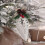 Christmas Tree Pendant Ice Crystal 2 Pack White 5.5 In 6