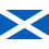Scotland flag decorative 1 piece 1