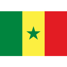 Senegalese flag national flag 1 piece