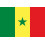 Senegalese flag national flag 1 piece 1
