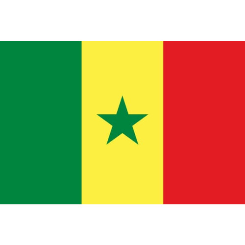 Senegalese flag national flag 1 piece